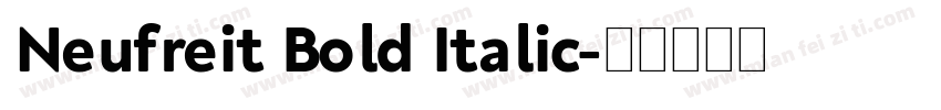 Neufreit Bold Italic字体转换